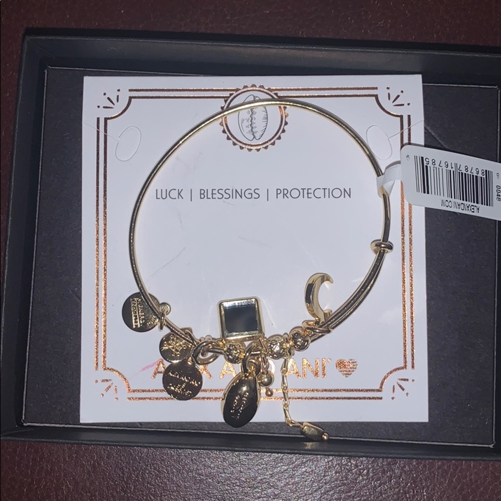 Alex and Ani blessings bracelet